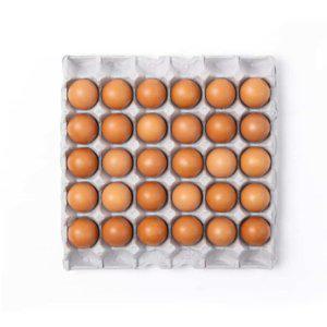 구운란 60구 판포장 신선한 안심할수있는 계란달걀 맛있는간식