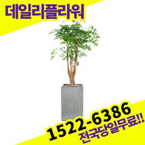 해피트리 개업축하선물 미세먼지 공기청정 승진화분