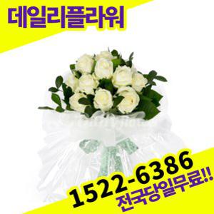 화이트장미 꽃다발 사랑 고백 이벤트 졸업식