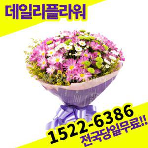 핑크소국혼합 꽃다발 사랑 고백 이벤트 졸업식