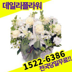 화이트장미혼합 꽃바구니 사랑 고백 이벤트 졸업식