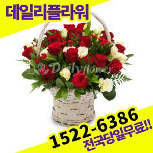 빨강장미혼합 꽃바구니 사랑 고백 이벤트 졸업식
