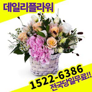 핑크수국혼합 꽃바구니 사랑 고백 이벤트 졸업식