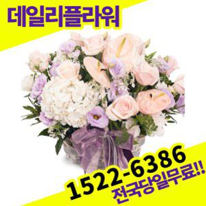 안시리움+수국 꽃바구니 사랑 고백 이벤트 졸업식