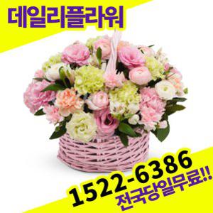 핑크리시안혼합 꽃바구니 꽃배달서비스 당일배송
