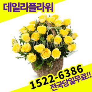 노랑장미 꽃바구니 꽃배달서비스 당일배송