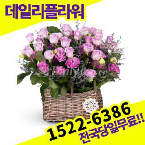 핑크장미혼합 꽃바구니 꽃배달서비스 당일배송