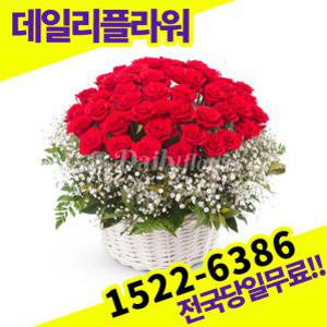 장미40송이+안개 꽃바구니 꽃배달서비스 당일배송