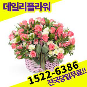 핑크장미50송이 꽃바구니 꽃배달서비스 당일배송