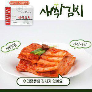 새싹김치 맛김치 반찬 대용량 업소용 중국산김치10kg / 식당과 업소에 납품하는 김치