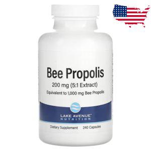 레이크에비뉴 프로폴리스 1000 mg 240정 꿀벌 Bee Propolis 아이허브