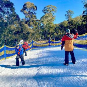 [눈놀이 시즌] 호주 시드니에서 출발 | 캔버라 코린 삼림공원(Corin Forest Park)으로의 1일 눈놀이 투어