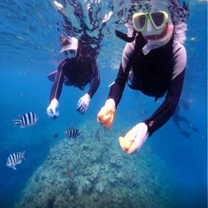 일본 오키나와 | 푸른 동굴 스노클링 2024 슈퍼 여름 이벤트! GoPro 촬영 및 무료 수중 먹이주기