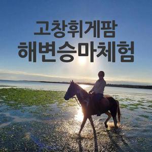 전북 고창 해변승마 고창휘게팜 승마체험