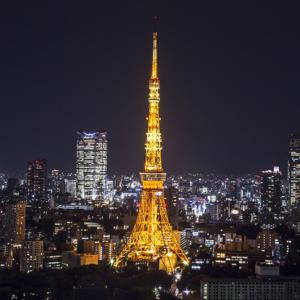 스카이 라이너 왕복 승차권 & 도쿄 지하철 패스 & 도쿄 타워 전망대 입장권 (도쿄)