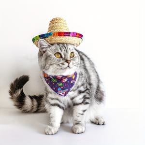 고양이를위한 1pc 애완 동물 멕시코 스타일 밀짚 모자, 작은 동물을위한 조절 가능한 모자 헤어 액세서리
