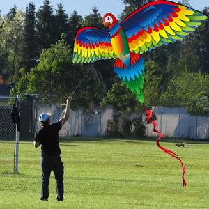1개, 꼬리와 손잡이가 있는 창의적인 3D 앵무새 연. 큰 날개 연으로 야외 스포츠 엔터테인먼트에 적합합니다.