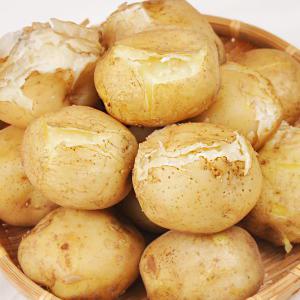 [푸르젠]포근포근 국내산 24년산 햇 감자 10kg (특)