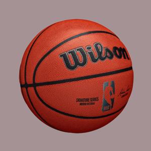 윌슨 NBA 시그니처 농구공 7호 올코트용 농구볼