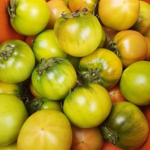 국내산 부산 대저 짭짤이 토마토 중과 1kg