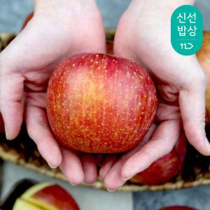 [품질보장] 경북 부사 사과 ( 햇사과 )
