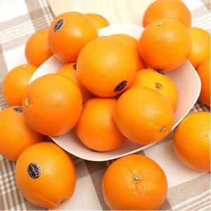 [우리존]썬키스트등 블랙라벨 고당도 오렌지 4.5kg 30입/중소과 가정용 실속과일/블랙라벨  네이블오렌지