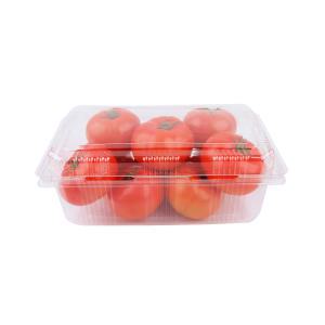 과일 자두 아로니아 블루베 오디 산딸기 1.5kg 1kg 포장 용기 TBT-415 [200개]
