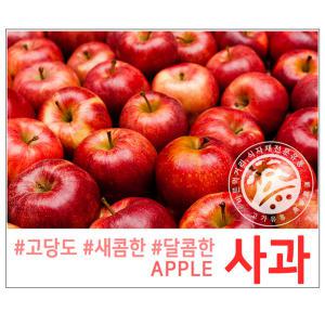 고가유통 /고당도꿀사과(5kg,10kg) 부사 홍로 영주 산청 청송 밀양 얼음골 사과