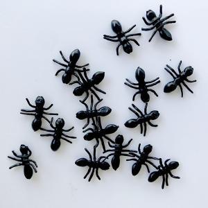 개미모형 미니어처 곤충 모래 놀이 개미 모형