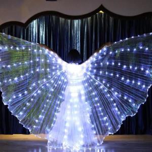 LED 요정 날개 망토 성인 14세이상  댄서  발광 나비 밸리 댄스 공연 무대 파티 사진 소품