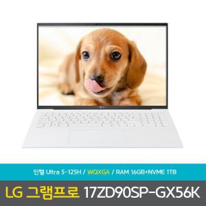 LG전자 그램 프로 17ZD90SP-GX56K 램16GB+NVMe1TB 노트북 DD