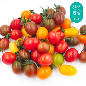 [품질보장] 컬러 대추 방울 토마토 1kg