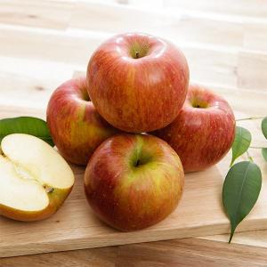 [자연맛남] 맛있는 가정용 사과 5kg (소과/35과내외)