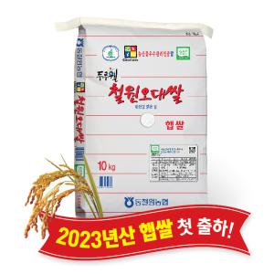2023 동철원농협 철원오대쌀 10kg