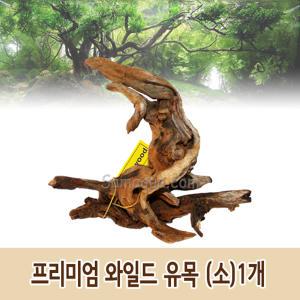 프리미엄 와일드 유목 (소) 1개/수초/어항/장식/가지유목/모스/열대어/구피/활착유목/천연유목