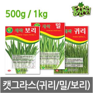 대용량 캣그라스씨앗 500g 1kg 고양이풀 귀리 보리 밀 씨앗