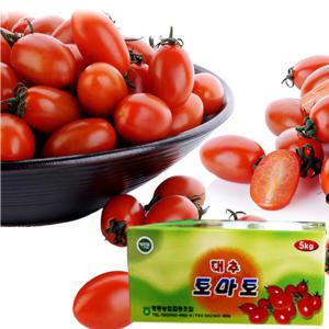 달콤단단 대추방울 토마토 5kg