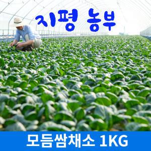 [물맑은 양평]지평농부 모듬쌈채소1kg,2kg