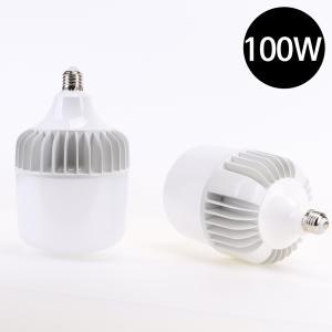 벌브형 대광량 LED 전구 100W 백색 (주광색) (오펙스)