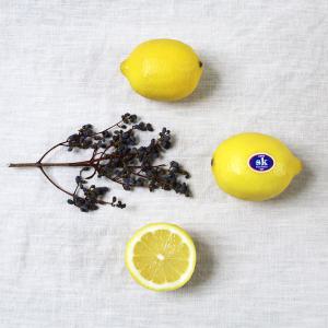 정품팬시 레몬 20입(중과120g 140과)