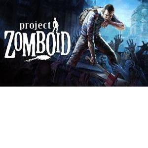 PC 프로젝트 좀보이드 스팀 한국코드 Project Zomboid