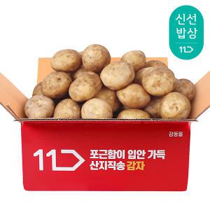 [품질보장] 출하시작 노지 햇 감자  3kg 5kg 중 대 특 왕특