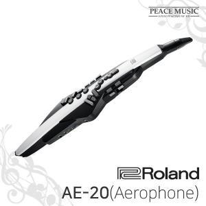 롤랜드 정식수입품 에어로폰 AE-20 ROLAND 입문용 연습용 휴대용 연주용 AE20 전국A/S가능