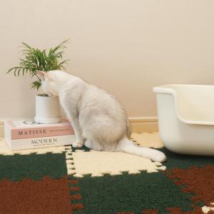 [22%적용중!]  고양이 사막화 방지매트 네츄럴코어 고양이 사료 간식 용품 모음전