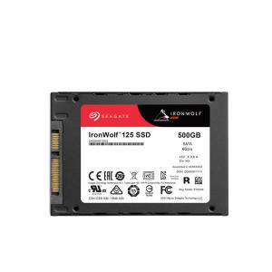 [카드추가할인] 씨게이트 Ironwolf 125 500GB ZA500NM1A002 SSD