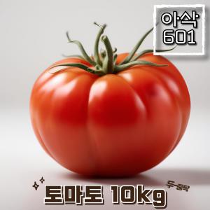 찰 토마토 10kg 소과/(5~6번과)