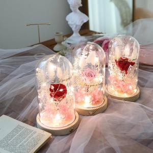 [조아트]프리저브드 장미 카네이션 꽃 무드등 LED 유리돔 3종