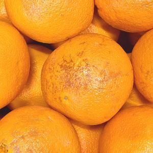 실속형 못난이 오렌지 10kg, 17kg(사이즈랜덤)