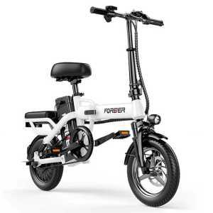 전기 전동 자전거 장거리 출퇴근용 배달용 바이크