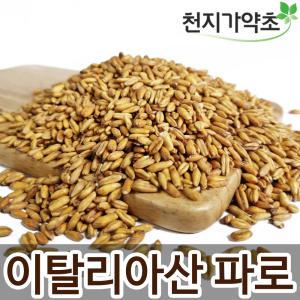 고대곡물 파로 500g 이탈리아산 에머밀